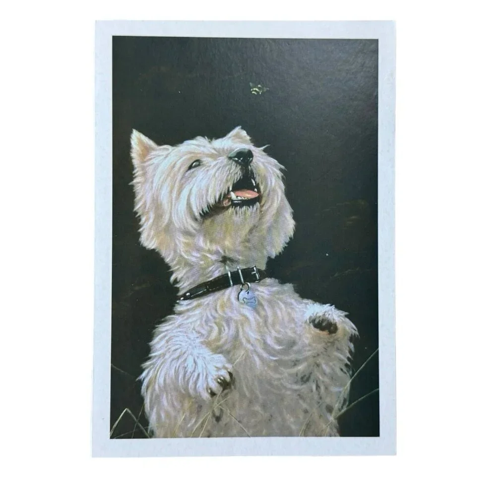 SCOTTISH TERRIER The Humane Society Greeting Card Blank  2021 Vintage Check Pics